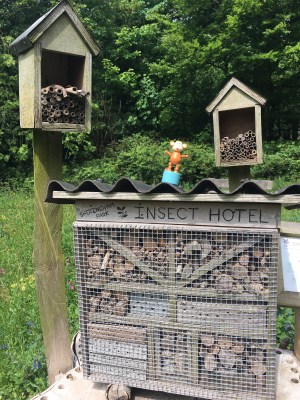 2016-0522-08 Sheringham Park.jpg