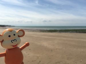 2016-0619 Summer.jpg