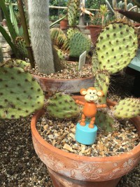 2016-0716-05 Quex Park.jpg