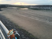 2016-0804-01 Homecoming.jpg