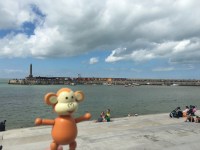 2016-0807-02 On the steps.jpg