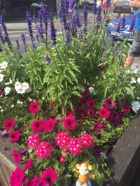 2016-0827-04 Canterbury.JPG