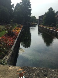 2016-0827-05 Canterbury.JPG