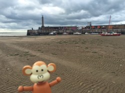 2016-0828-01 Low tide.JPG