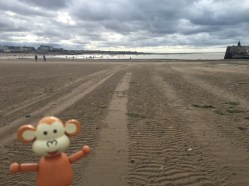 2016-0828-02 Low tide.JPG