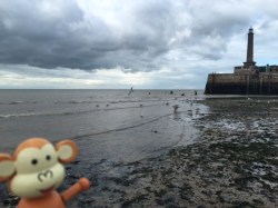 2016-0828-03 Low tide.JPG