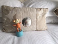 2016-0903-01 Shell pillow.JPG