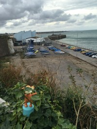 2016-0910-08 Hiding.jpg