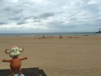 2016-0910-10 Sandcastles destroyed.jpg