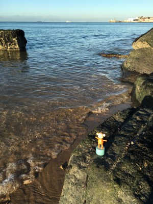 2016-0911-03 Rock bathing.jpg