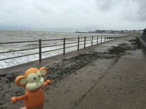 2016-0917-01 Seaweed.jpg