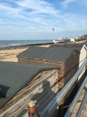 2016-0918-05 Kite surfer.jpg