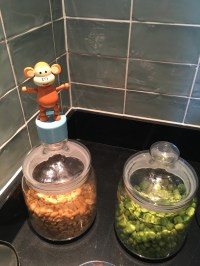 2016-0921-07 Nuts.jpg