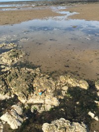 2016-0924-01 Rock pool.jpg