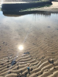 2016-0924-02 Pool.jpg