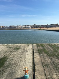 2016-0924-03 Tidal pool.jpg