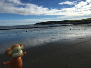 2016-0926-05 Douglas bay.jpg