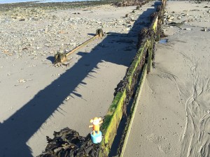 2016-0926-08 High jump.jpg