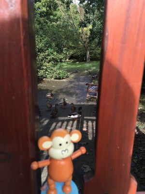 2016-0927-01 Tynwald Park.jpg