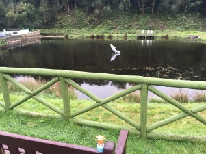 2016-0928-01 Salmon Lake.jpg