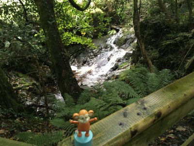 2016-0928-02 Hillside stream.jpg