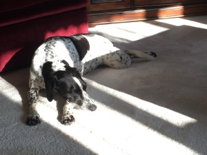 2016-1015-03 Blake.jpg