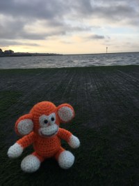 2016-0913-04 Tidal pool.jpg