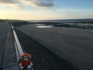 2016-0913-05 Westbrook.jpg