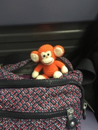 2016-1114-03 Out the bag.jpg