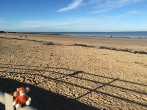 2016-1119-01 Westbrook.jpg