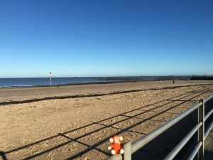 2016-1119-02 Westbrook.jpg