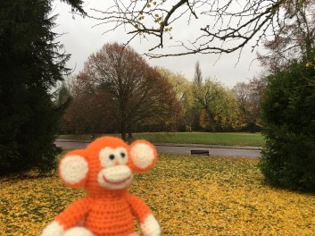 2016-1122-01 Park.jpg