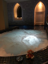 2016-1124-04 Spa.jpg