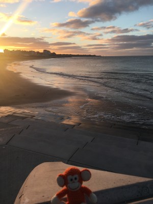 2016-1203-01 Sunset.jpg