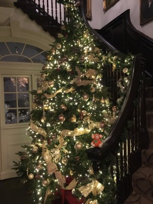 2016-1223-03 Christmas tree.jpg