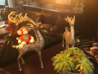 2016-1224-04 Stags.jpg