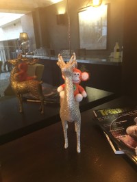 2016-1224-05 Stags.jpg