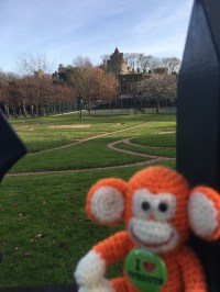 2016-1226-02 Royal maze.jpg