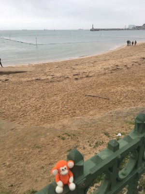 2016-1231-01 Tidal pool.jpg