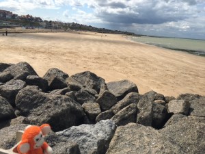 170819-01 Windy rocks.JPG