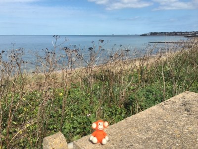 170820 Clifftop view.JPG