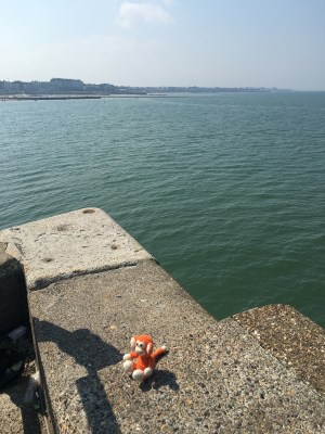 170827-05 Harbour Arm.jpg