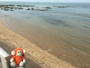 170828-01 Westbrook.jpg