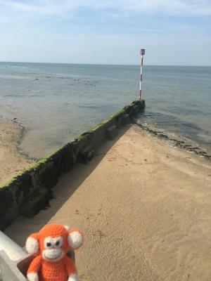 170828-02 Westbrook.jpg