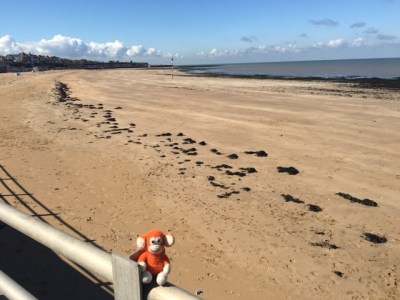 170915 Lunchtime walk.JPG