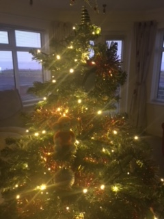 171222-01 Christmas tree.JPG