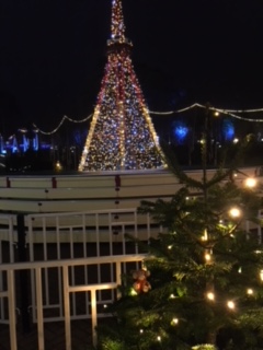 171222-03 Dreamland tree.JPG