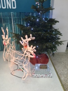 171222-05 Dreamland reindeer.JPG