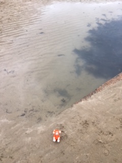 171225-02 Paddle.JPG