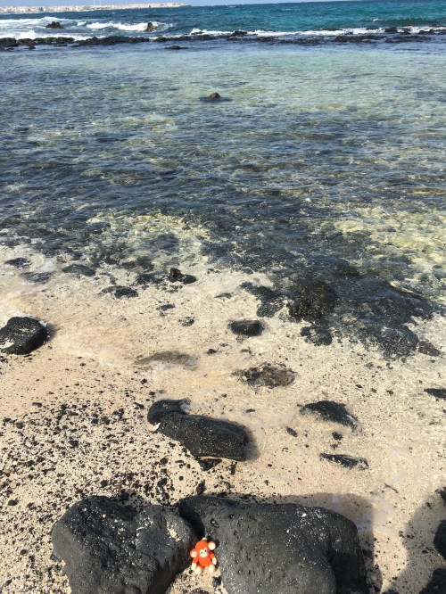 1801-10 Paddling.jpg